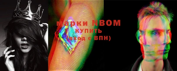 гидра Абаза