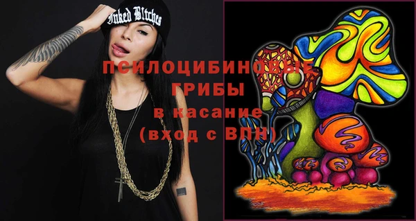 гидра Абаза