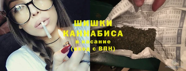 гидра Абаза