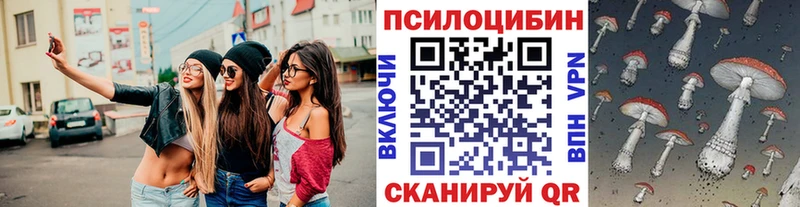 где продают наркотики  Шарья  Галлюциногенные грибы Psilocybe 